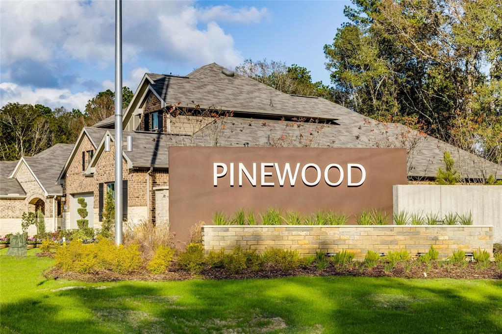 22511 Pagoda Dogwood Branch , New Caney, Texas image 4