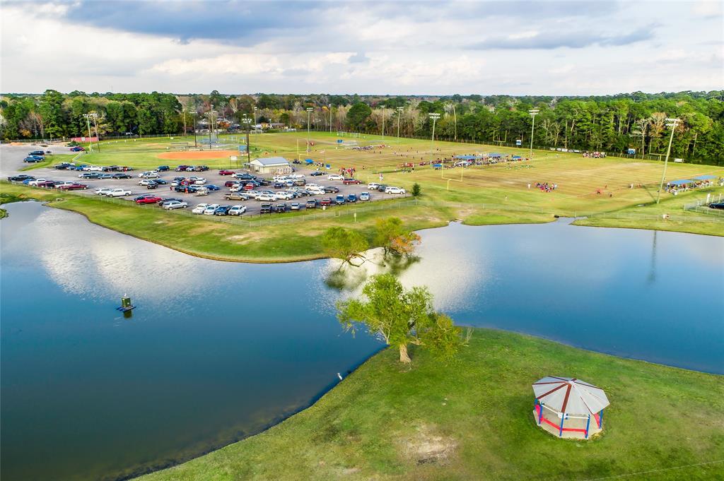 22511 Pagoda Dogwood Branch , New Caney, Texas image 7