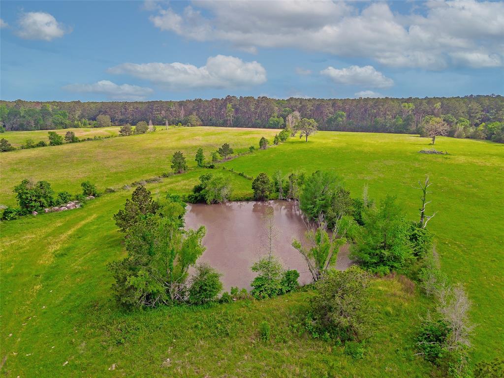 756 Sullivan Road , Apple Springs, Texas image 5