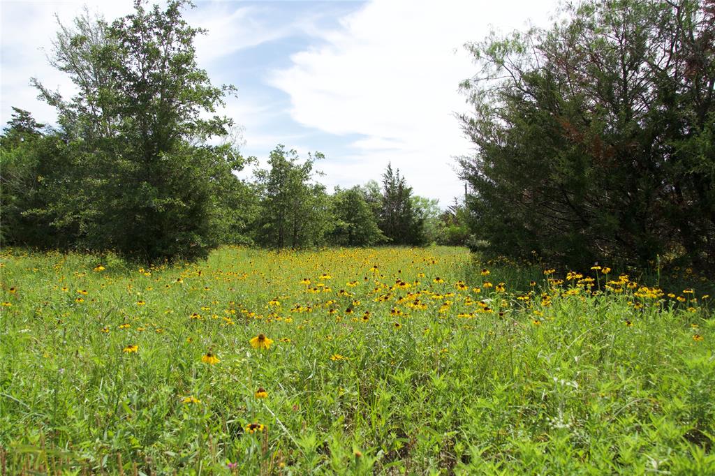 14471 Bundic Road , North Zulch, Texas image 7