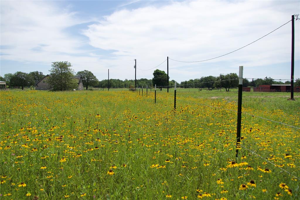 14497 Bundic Road , North Zulch, Texas image 10