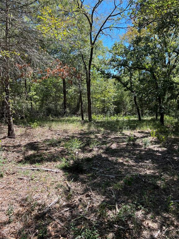 Lot 35 Fm 489  , Fairfield, Texas image 4