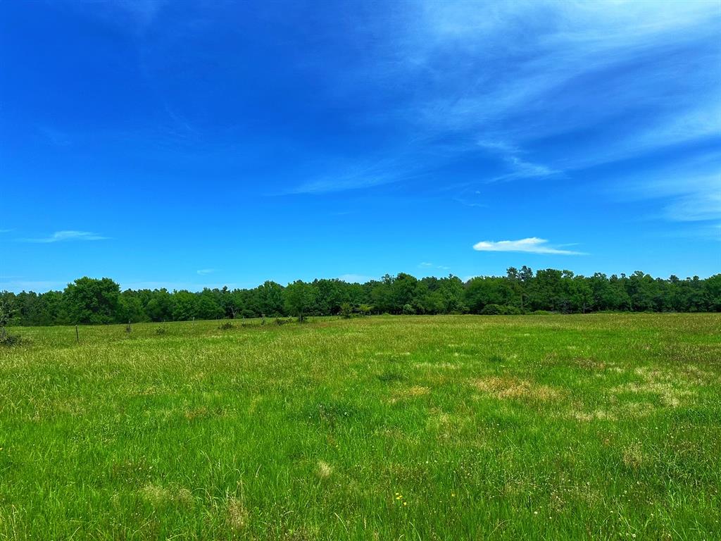 7878 Fm 3178  , Centerville, Texas image 9