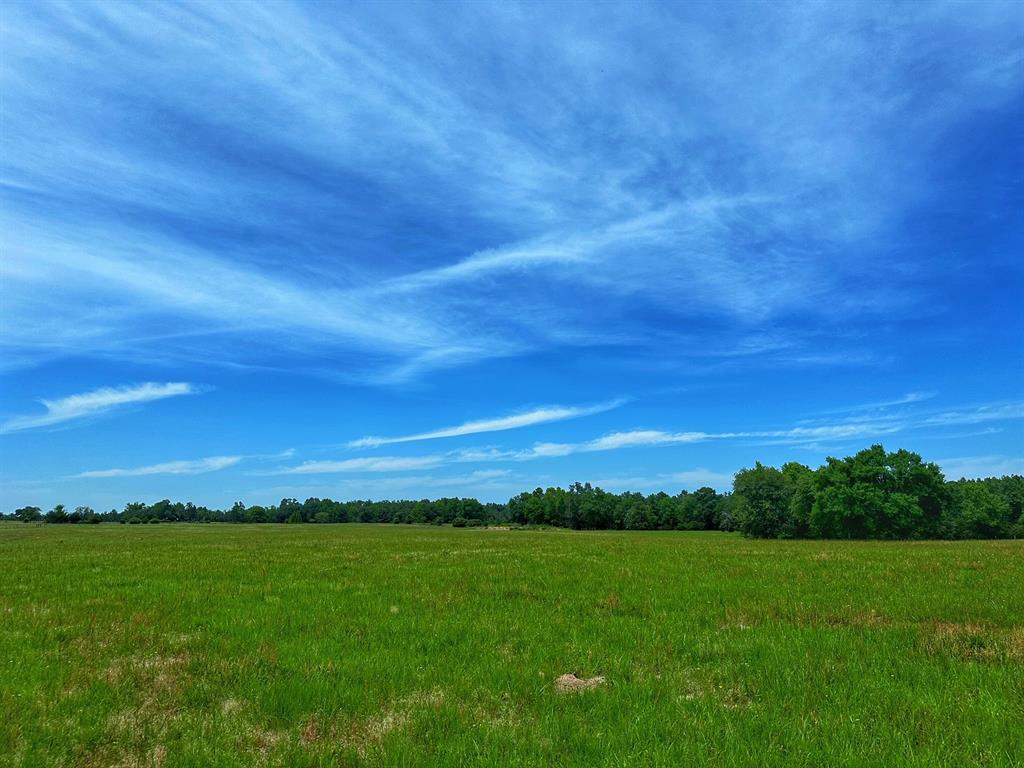 7878 Fm 3178  , Centerville, Texas image 10