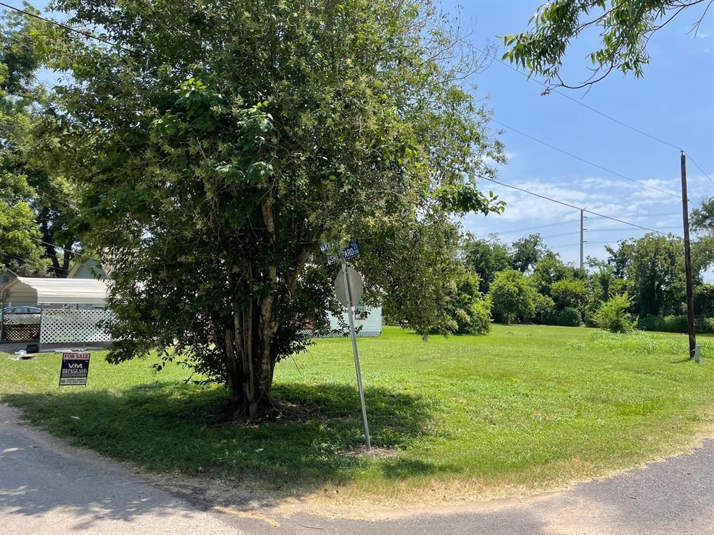 Lot 165B S Sheppard  , Wharton, Texas image 6