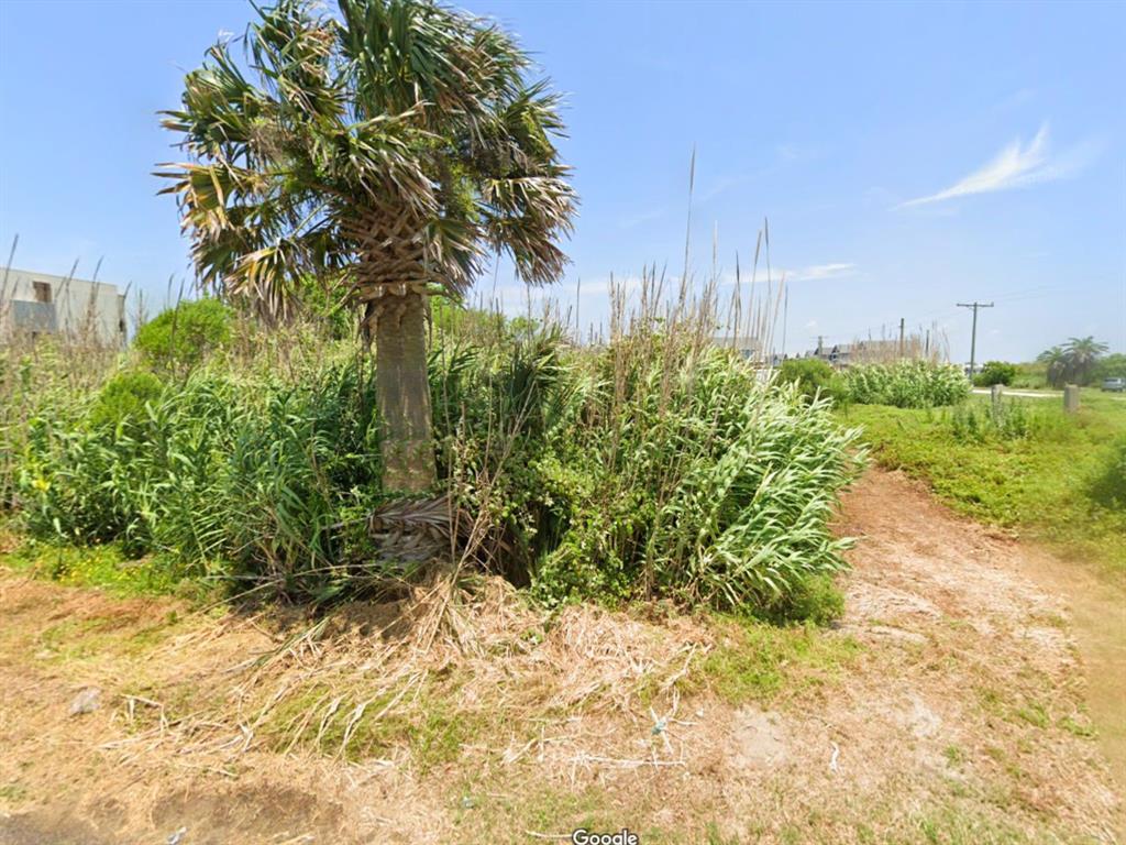 TBD Carr Street , Gilchrist, Texas image 4