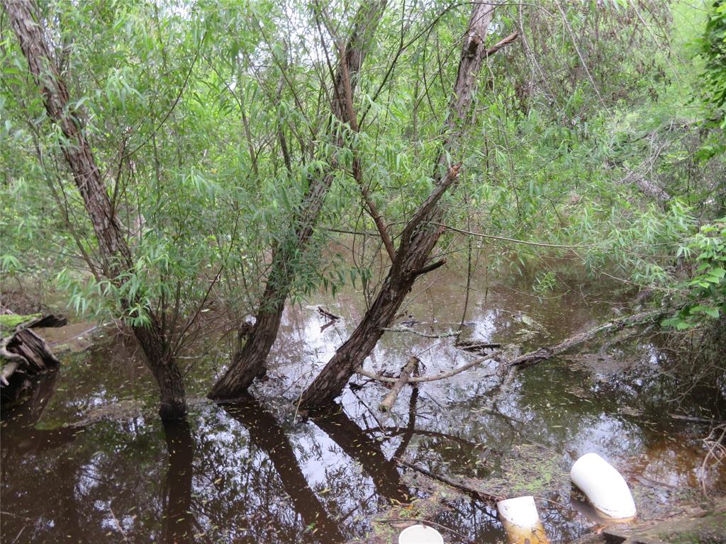 A trail the owners blazed thru to the back wooded area