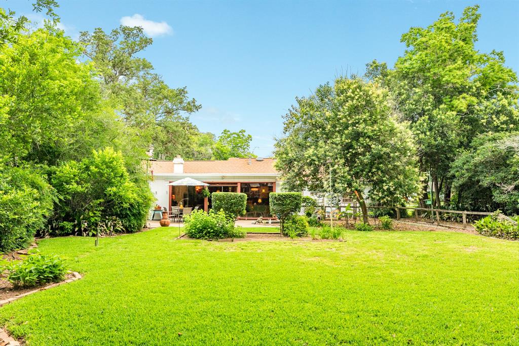 Large Backyard Mature tree and flower beds