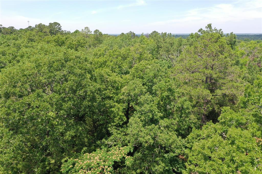 000 County Road 2101  , Palestine, Texas image 4