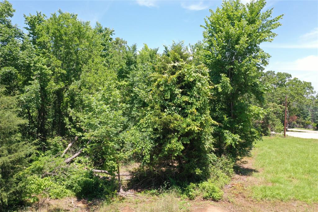 000 County Road 2101  , Palestine, Texas image 8