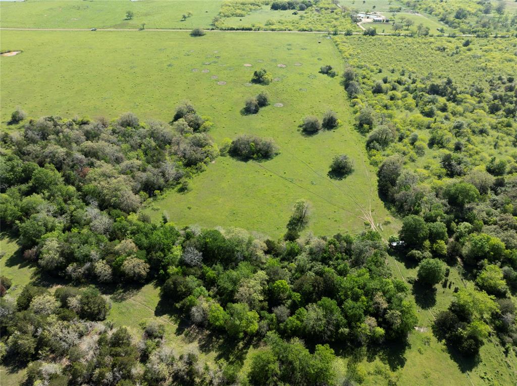 Tract 12 Armstrong Derry Road , Waelder, Texas image 5