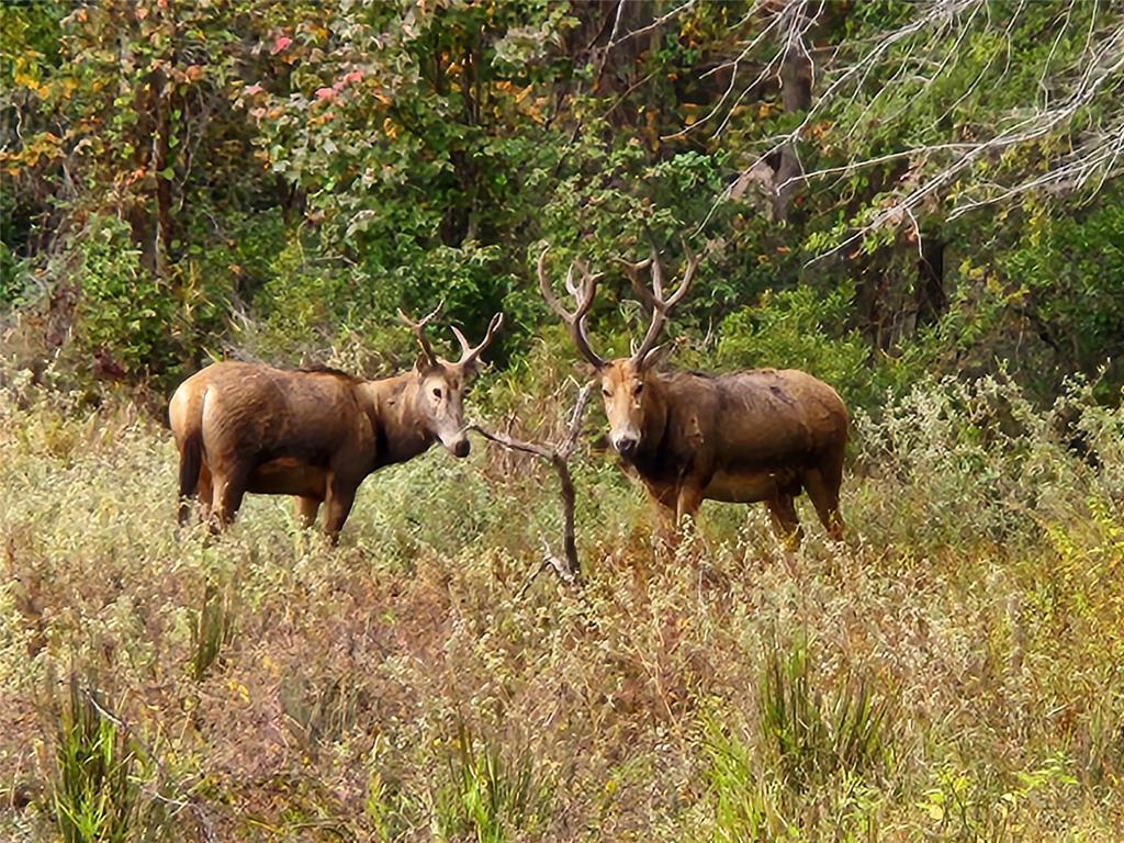 Lot 43 Fallow Run , Larue, Texas image 5