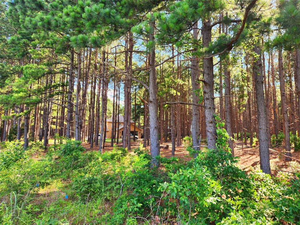 View of the home next door through the woods.