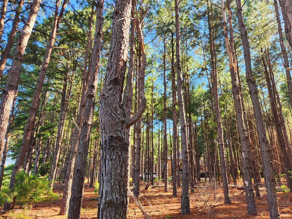 View towards the neighbor\'s home. Lots of privacy with this lot.