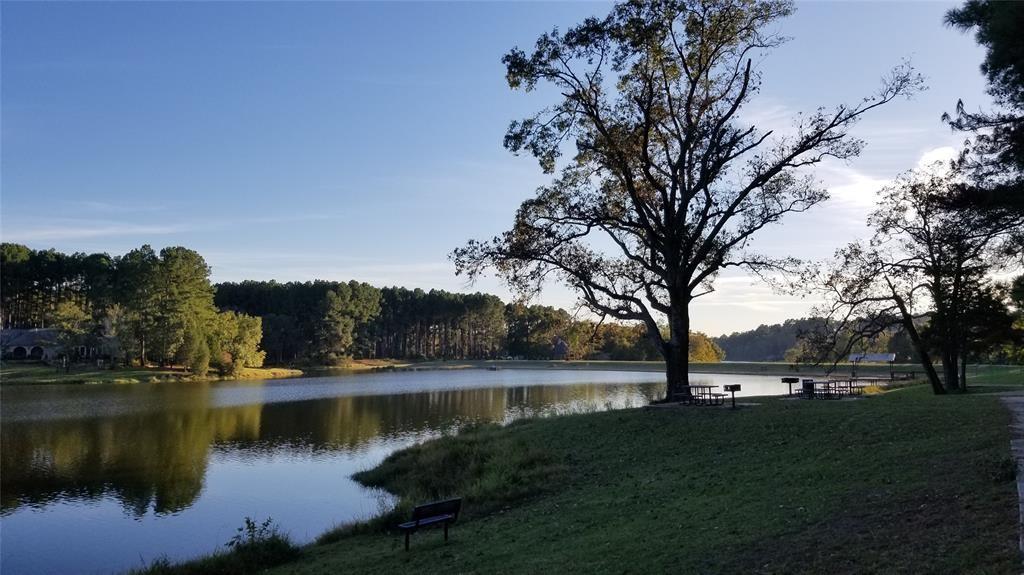 Safari Waters Ranch is simploy gorgeous and one of the best kept secrets in East Texas.