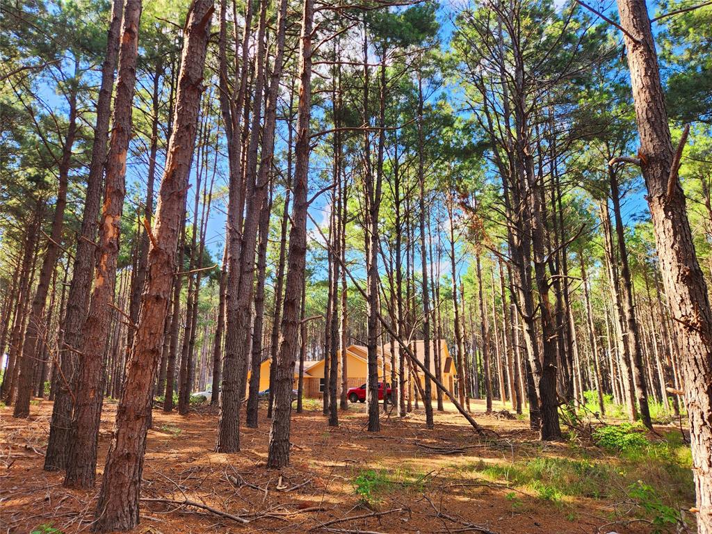 View of the second neighbor\'s home.  Both side neighbors have built their homes, so no surprises later.