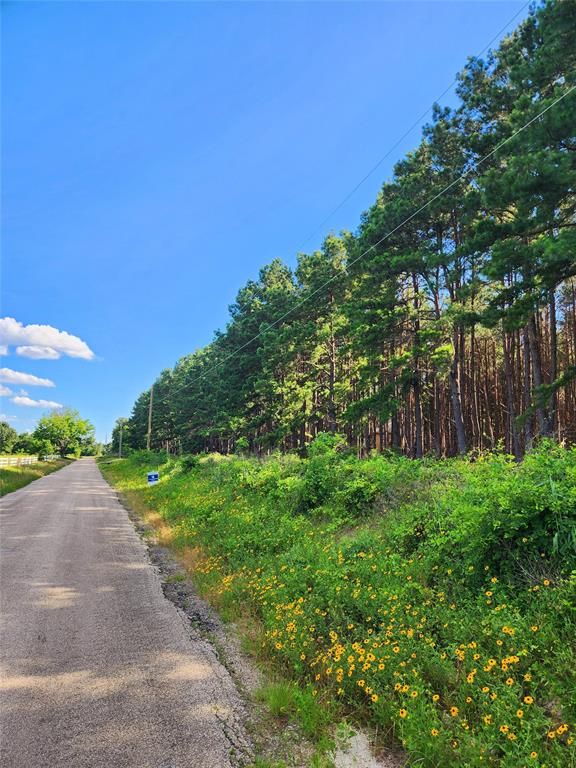 Lot 459 Cr-4712  , Larue, Texas image 8