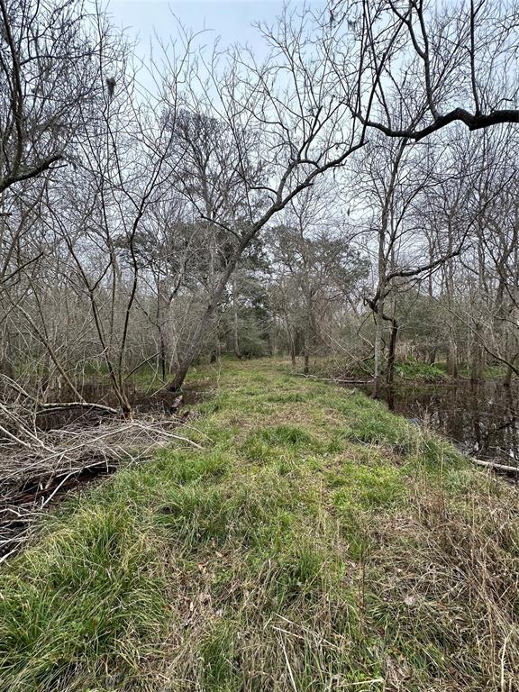 Kings Oak Drive , Damon, Texas image 9