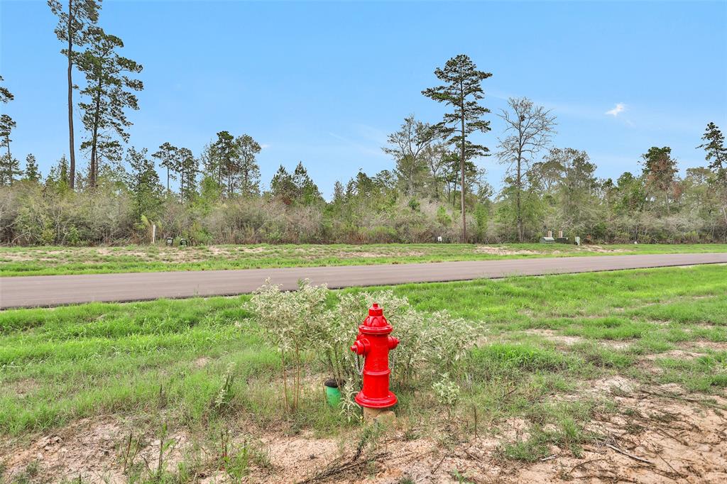 168 Great Plains Way , New Waverly, Texas image 6