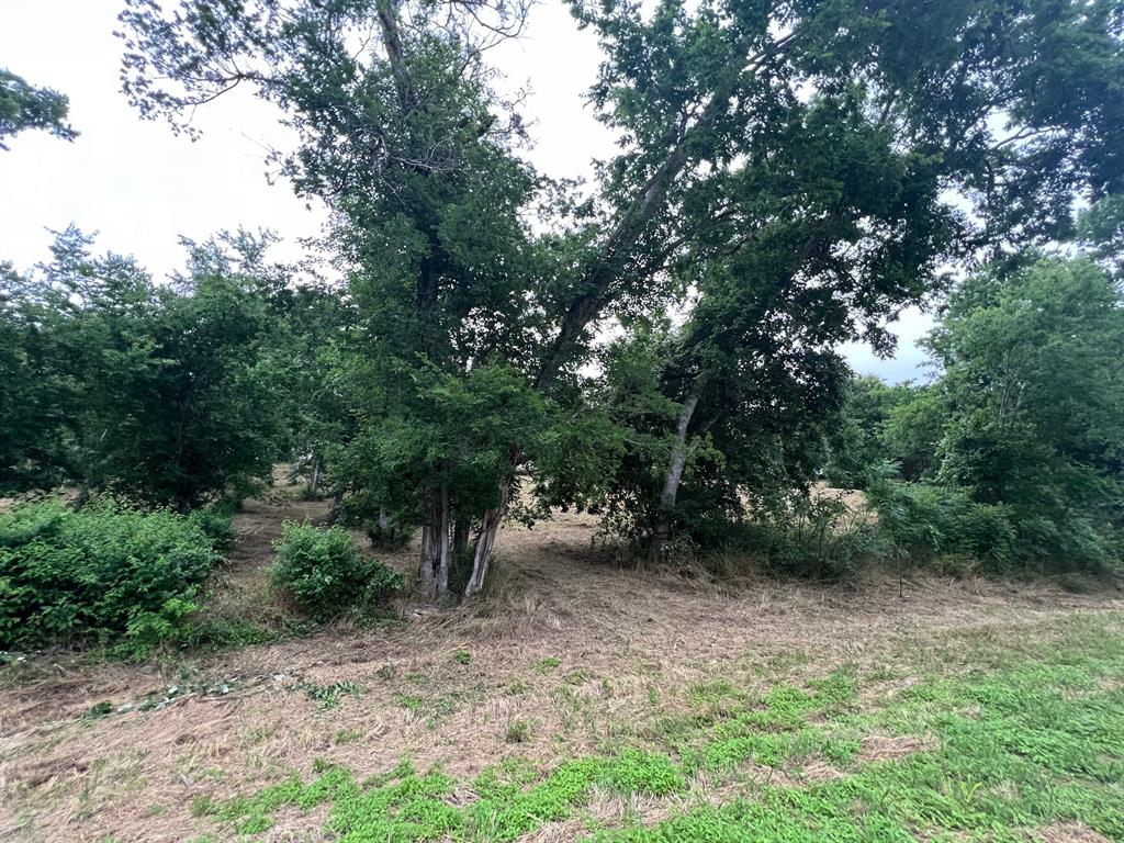 6.12 Acres Mcelroy Lane  , New Ulm, Texas image 11