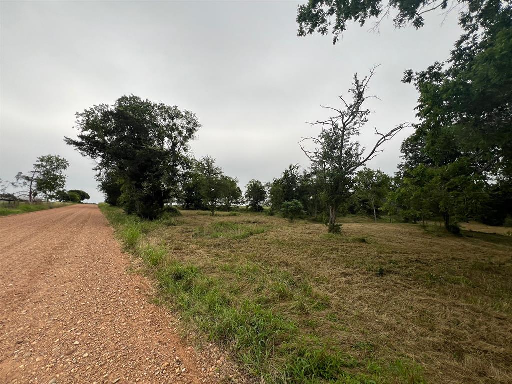 6.12 Acres Mcelroy Lane  , New Ulm, Texas image 14