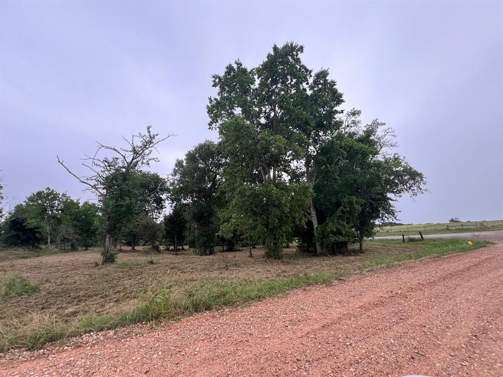 6.12 Acres Mcelroy Lane  , New Ulm, Texas image 15