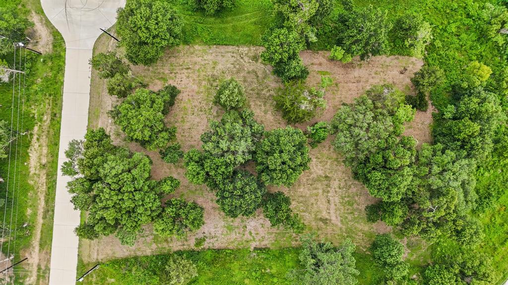 This overhead view illustrates the spacious lot and abundance of trees.