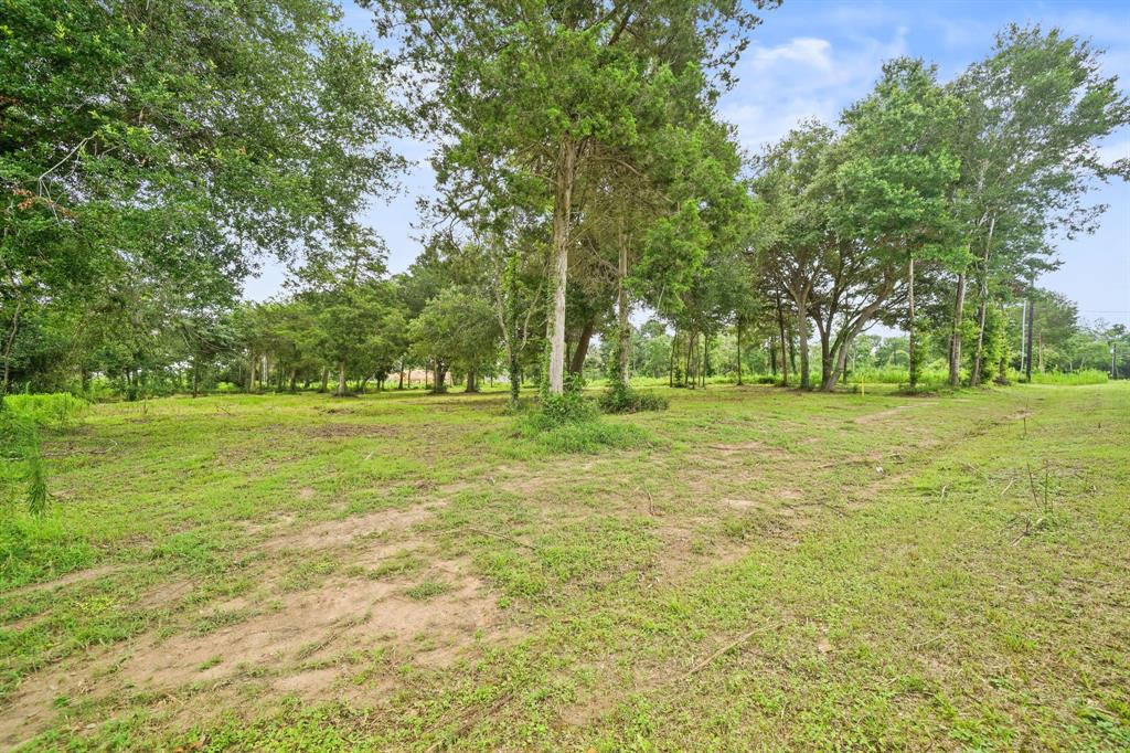 4607 Cottonwood Run , Alvin, Texas image 9