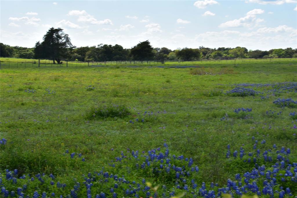 1066 Mcelroy Lane  , New Ulm, Texas image 13