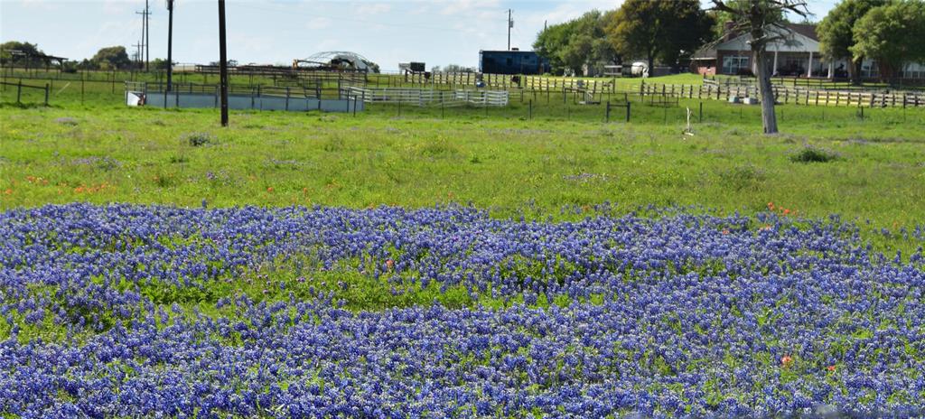 1066 Mcelroy Lane  , New Ulm, Texas image 14