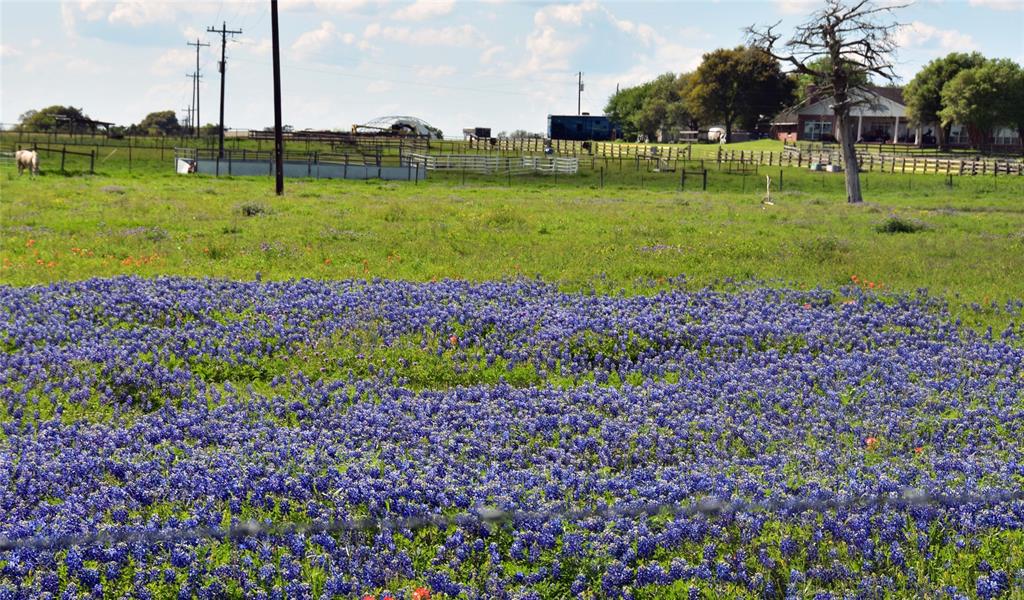 1066 Mcelroy Lane  , New Ulm, Texas image 20