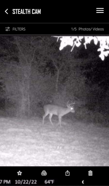 Game Camera Photo