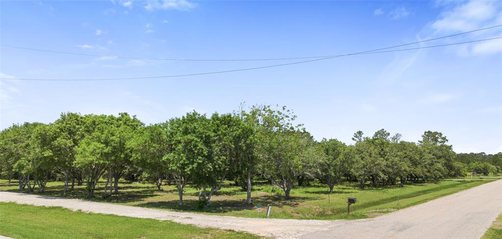 4427 W Bayshore Road , Anahuac, Texas image 6