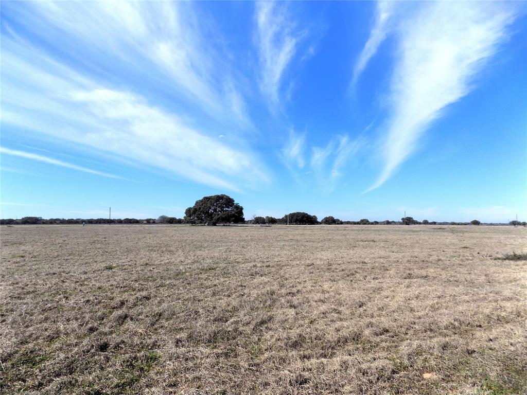 This is the view from the fence line on the backside of the property toward the street, there is just so much land to work with. What are you going to build?