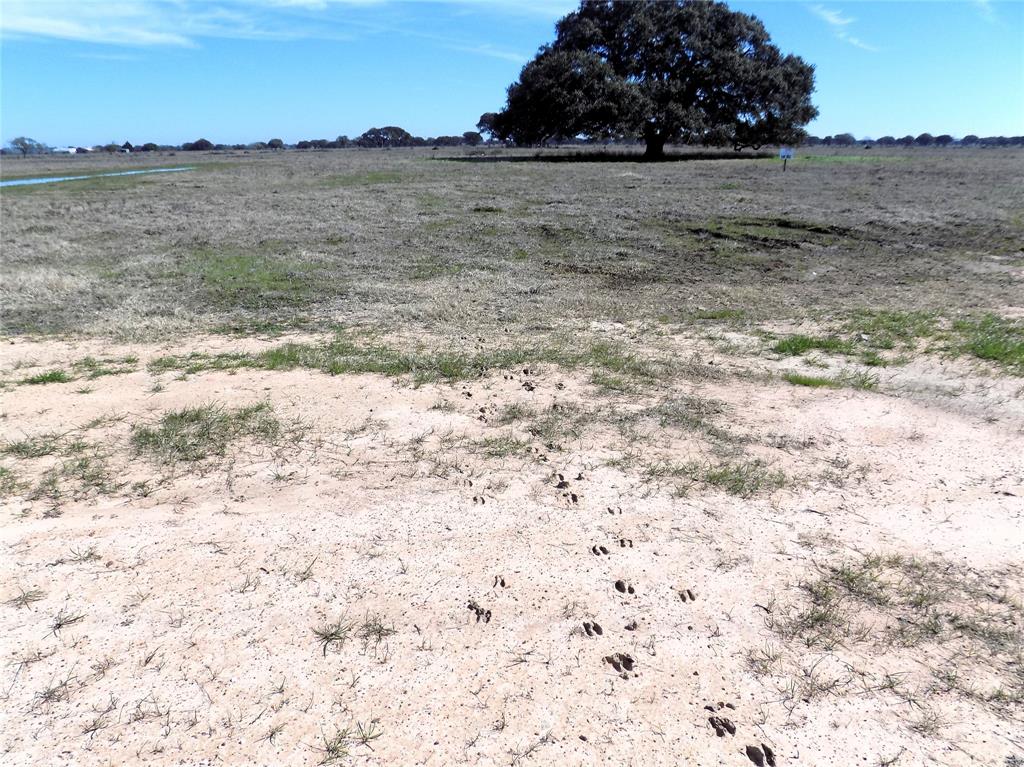 Being a Former Duck and Deer Hunting Ranch there is an abundance of wildlife. Mostly flat topography with drainage located on both sides of the lot leading to the ditch at the street.