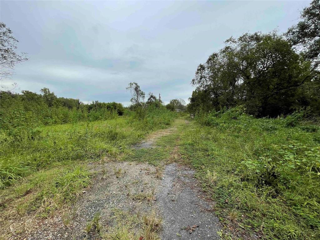 796 County Road 705  , West Columbia, Texas image 5