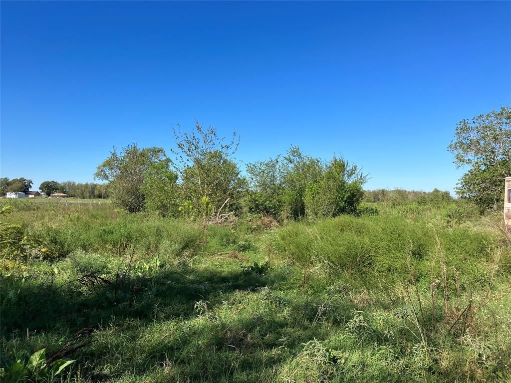 View of pasture