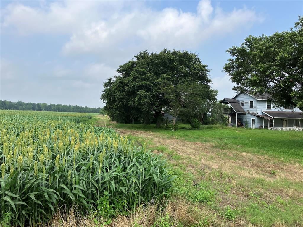 View of southern boundary facing west