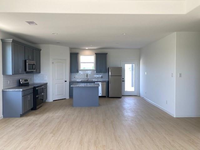 Back House - Kitchen/Living Room open floor plan