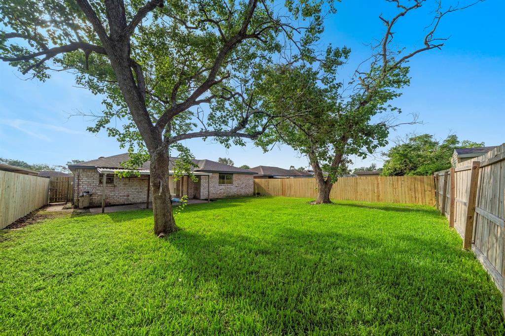 SPACIOUS BACKYARD