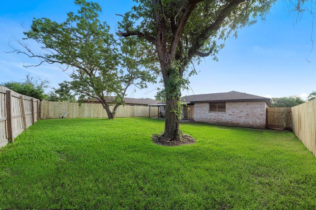 ANOTHER VIEW OF BACKYARD