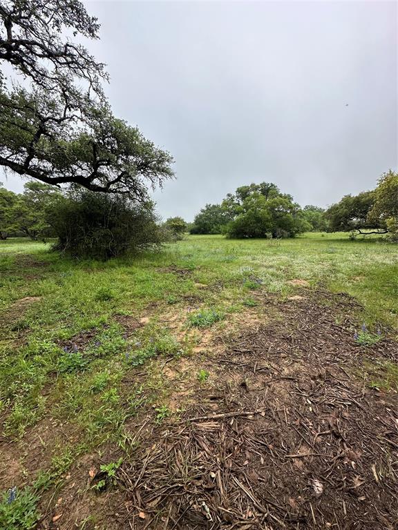 TBD County Rd 160 Lot 129  , Columbus, Texas image 11