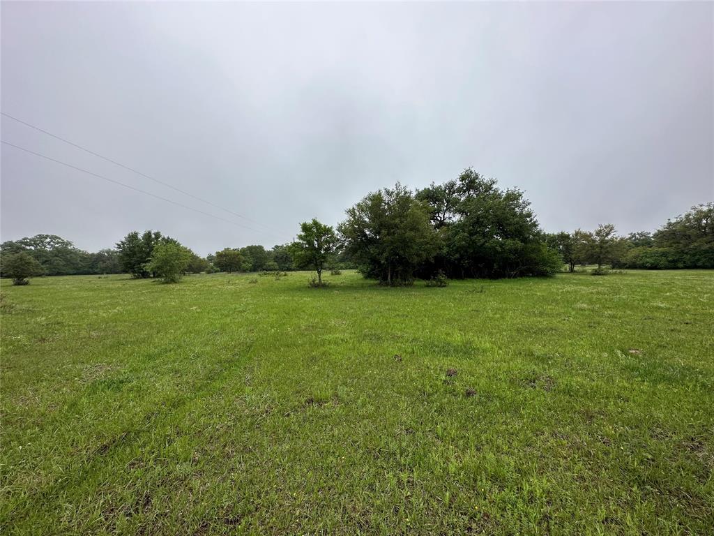 TBD County Rd 160 Lot 129  , Columbus, Texas image 12