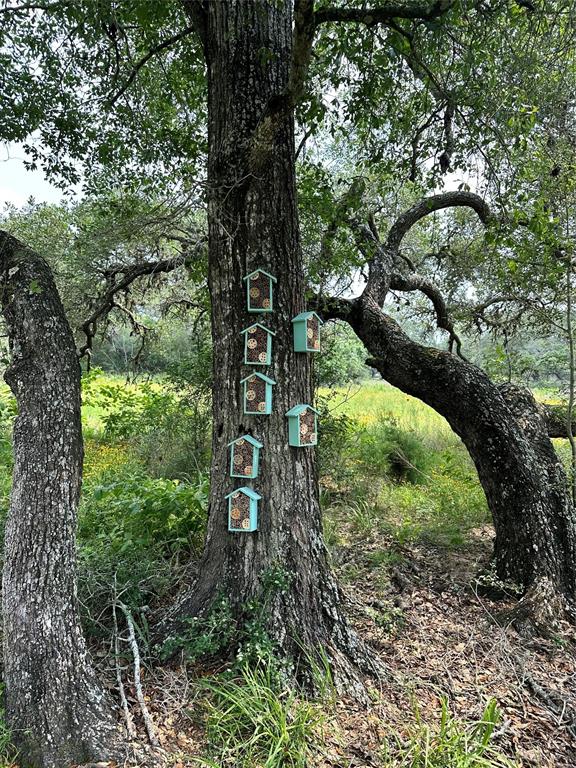 Bee boxes- help reduce taxes