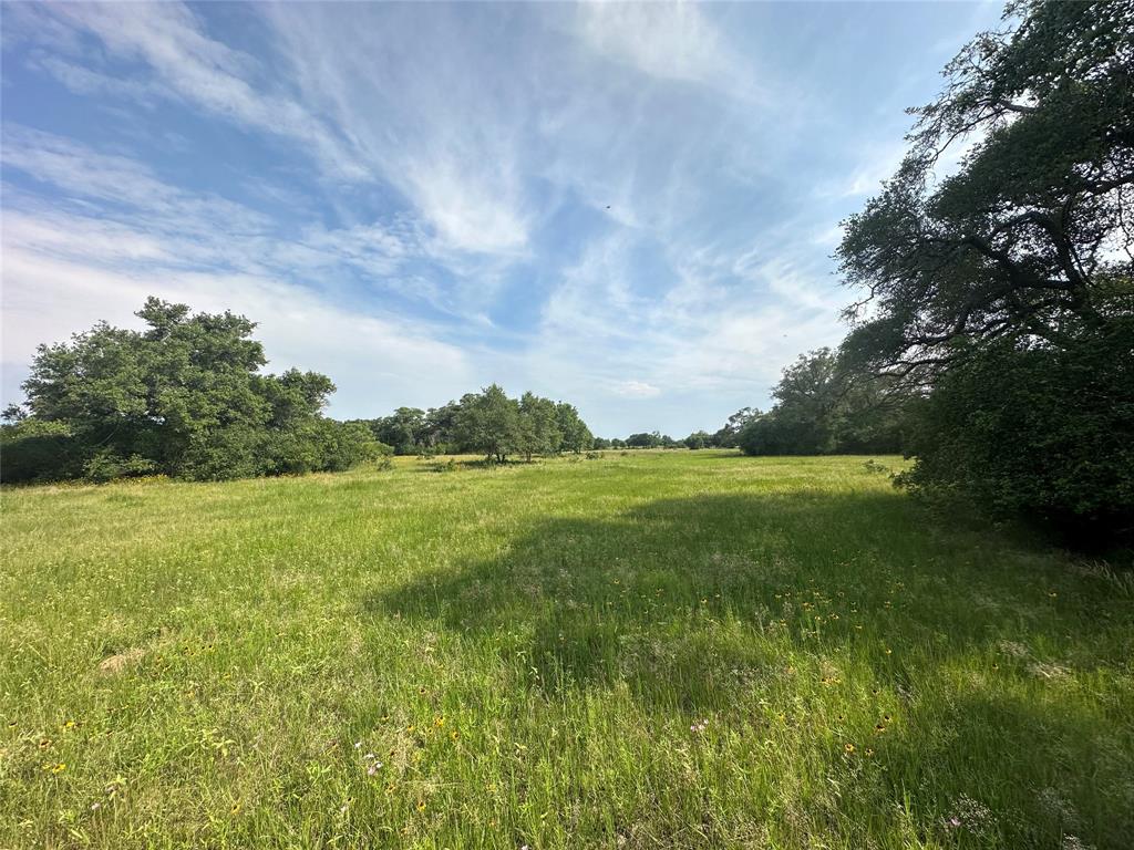 TBD County Rd 160 Lot 129  , Columbus, Texas image 6