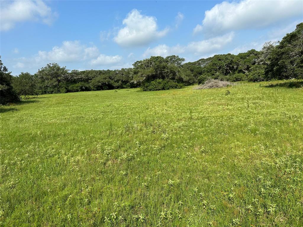 TBD County Rd 160 Lot 129  , Columbus, Texas image 7