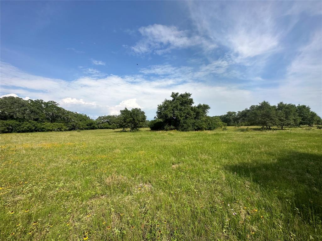 TBD County Rd 160 Lot 129  , Columbus, Texas image 8