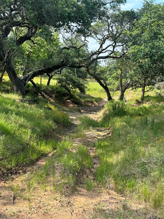 TBD County Rd 160 Lot 129  , Columbus, Texas image 9