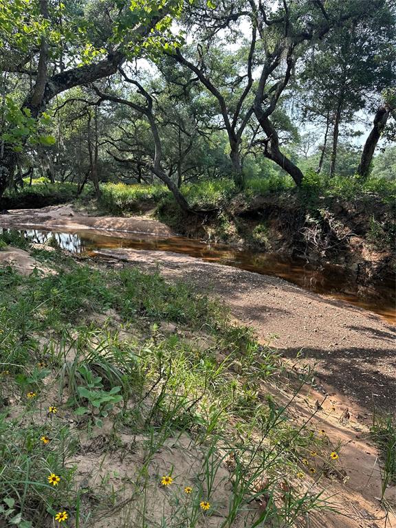 TBD County Rd 160 Lot 129  , Columbus, Texas image 10