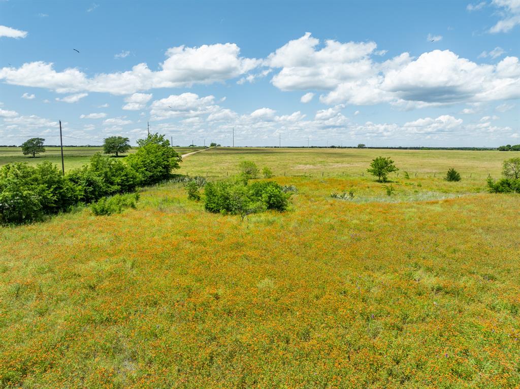 321 County Road 3545  , Clifton, Texas image 14